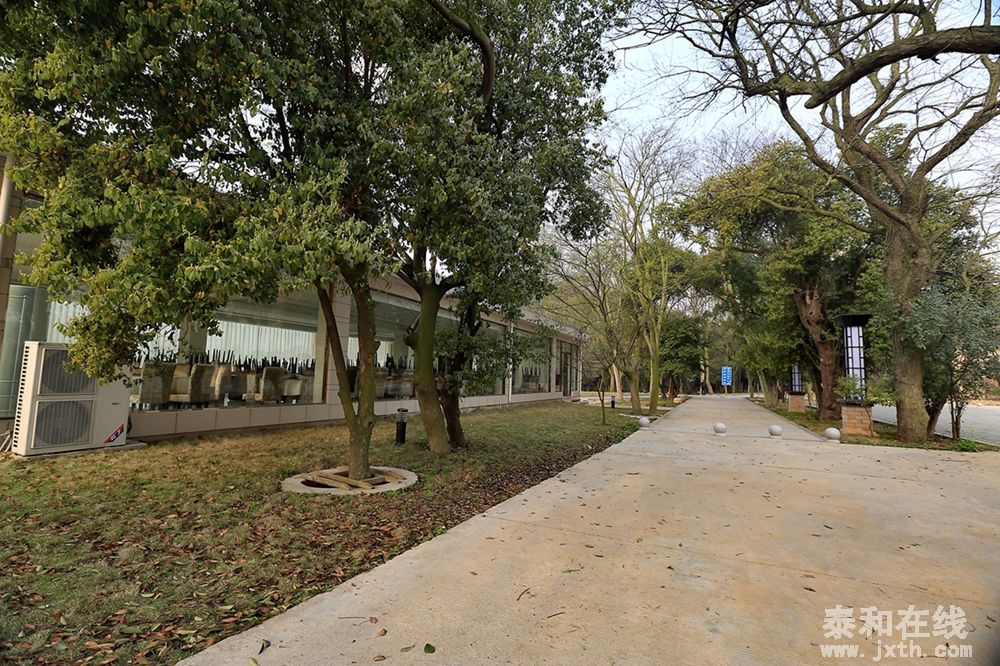 20141548.jpg