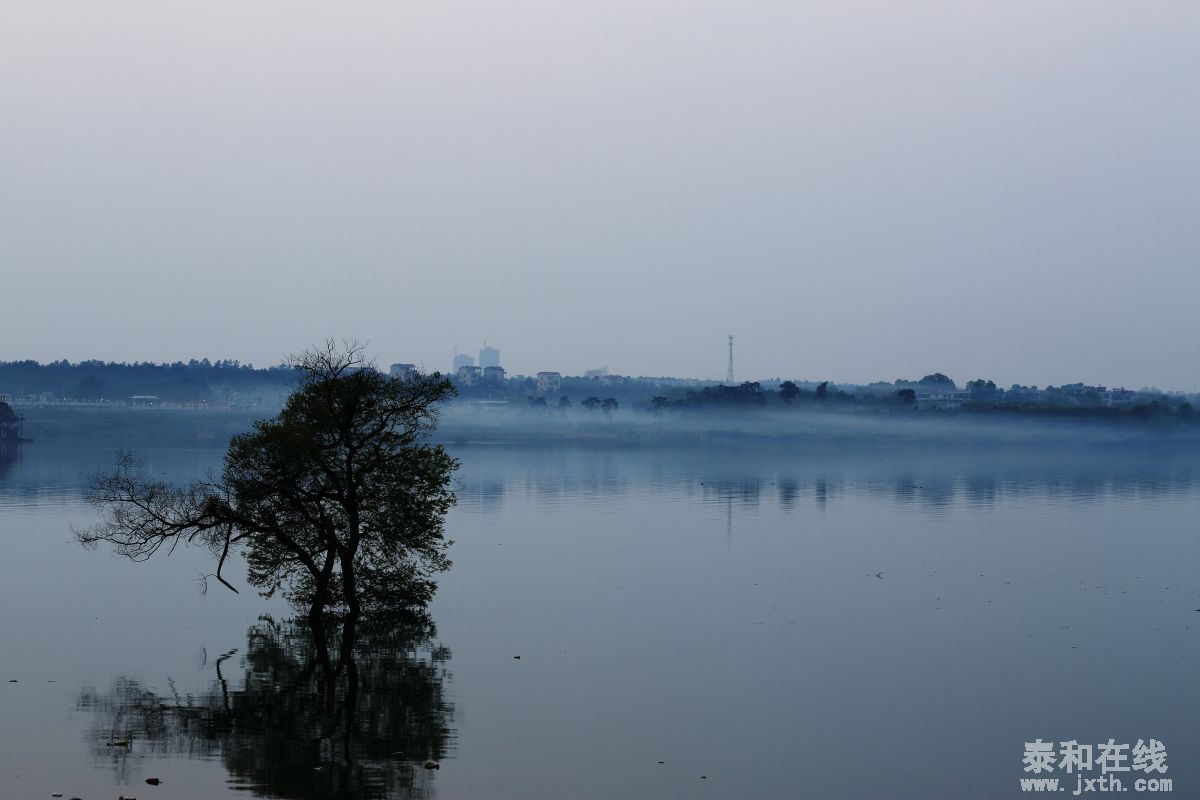 DPP_0007.JPG