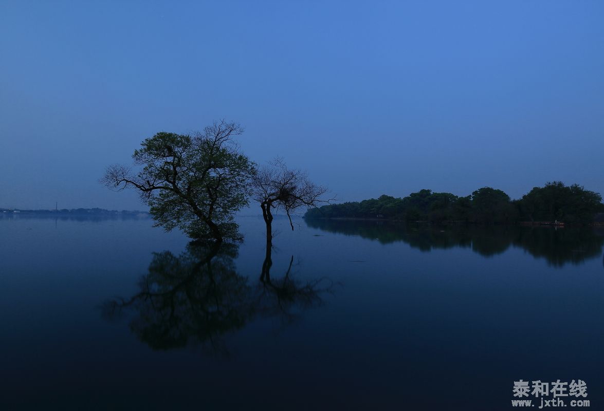 DPP_0009.JPG