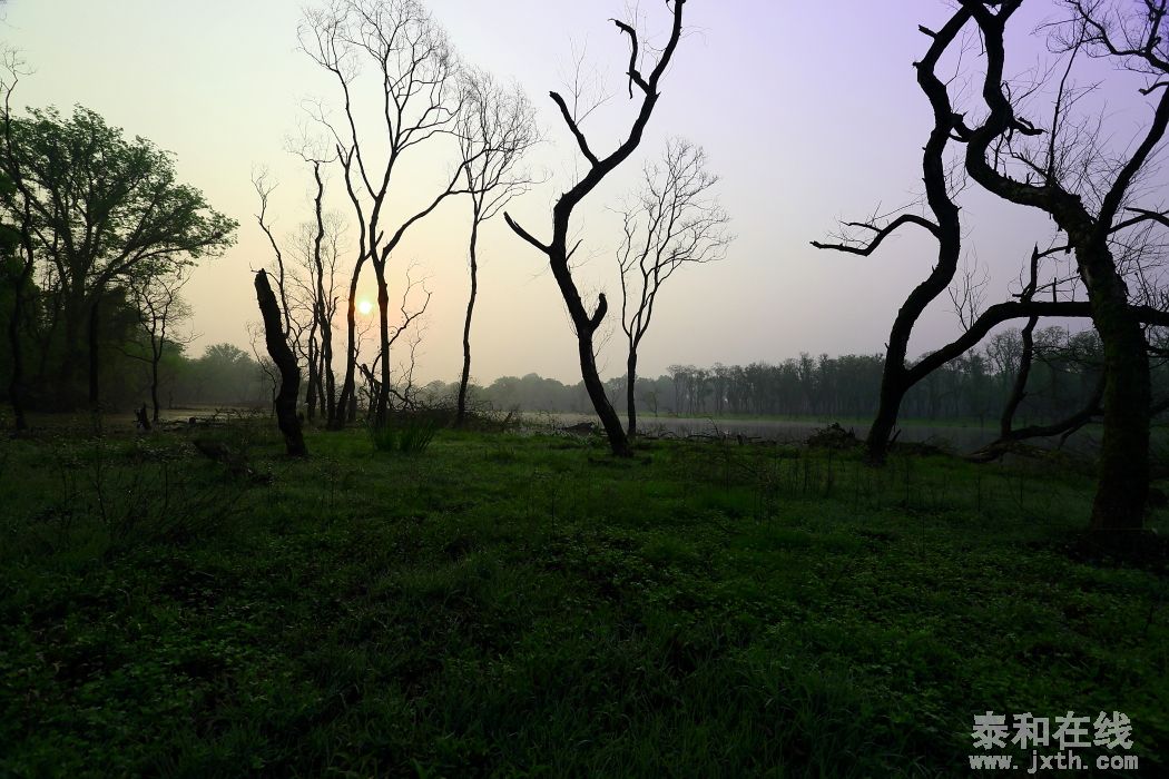DPP_0043.JPG