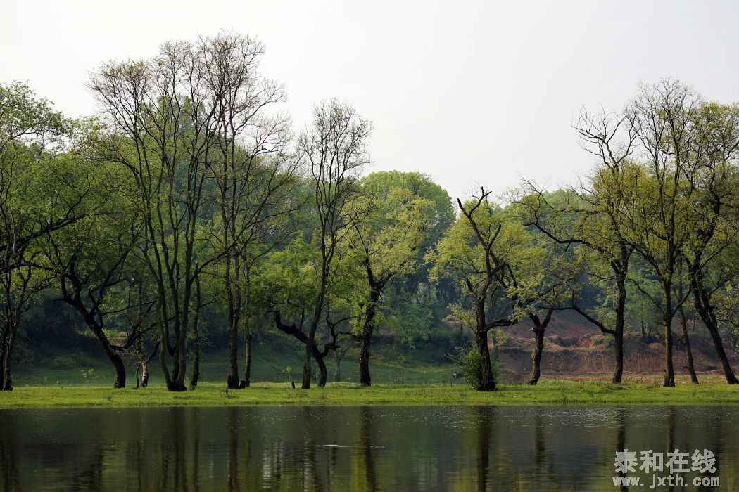 DPP_0046.JPG