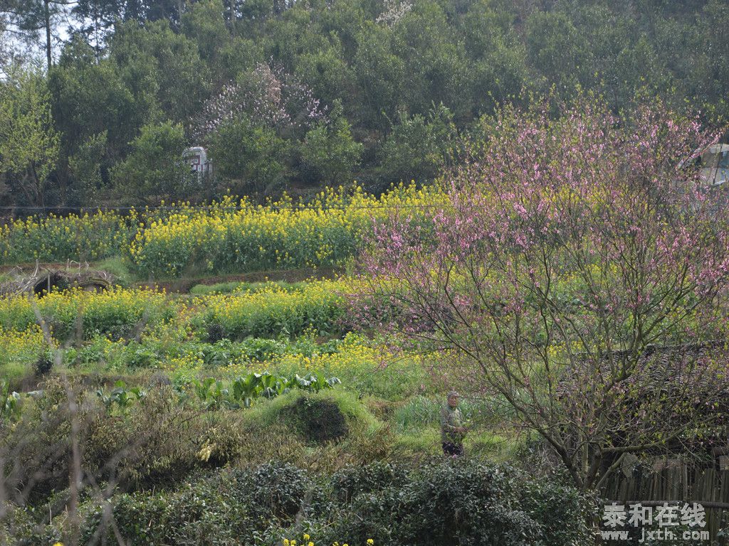 DSC_0181_.jpg