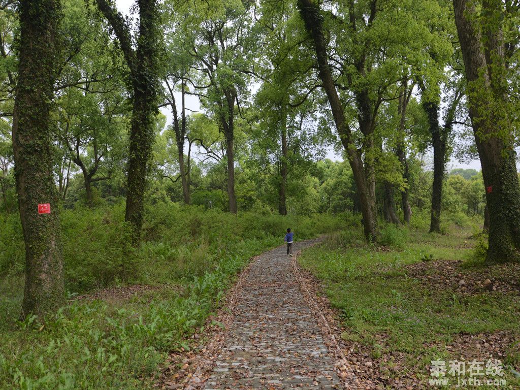 DSC_0096__.jpg