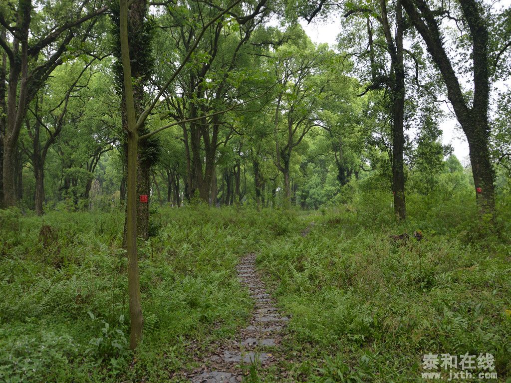 DSC_0140__.jpg