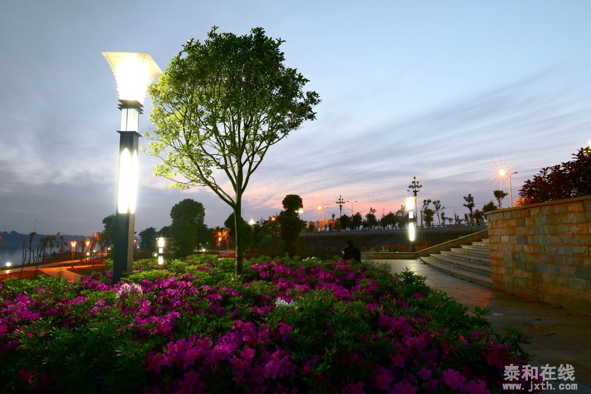 DPP_0059.JPG