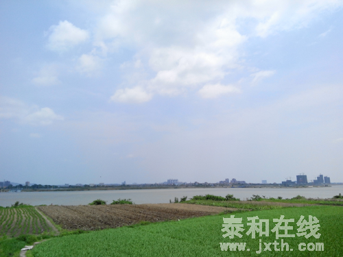 IMG_20150515_113555.jpg