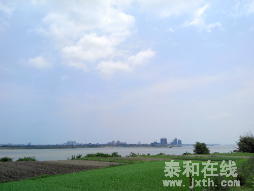 IMG_20150515_113520.jpg