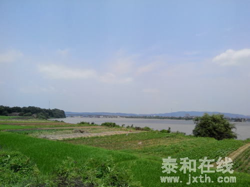 IMG_20150515_113412.jpg
