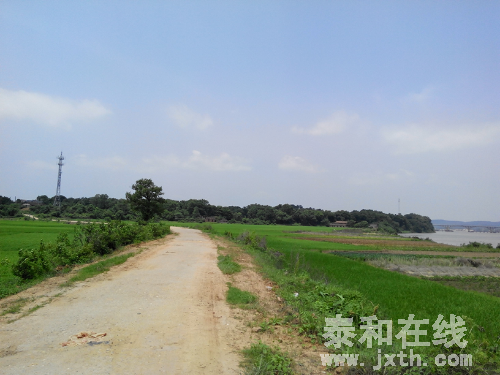 IMG_20150515_113424.jpg