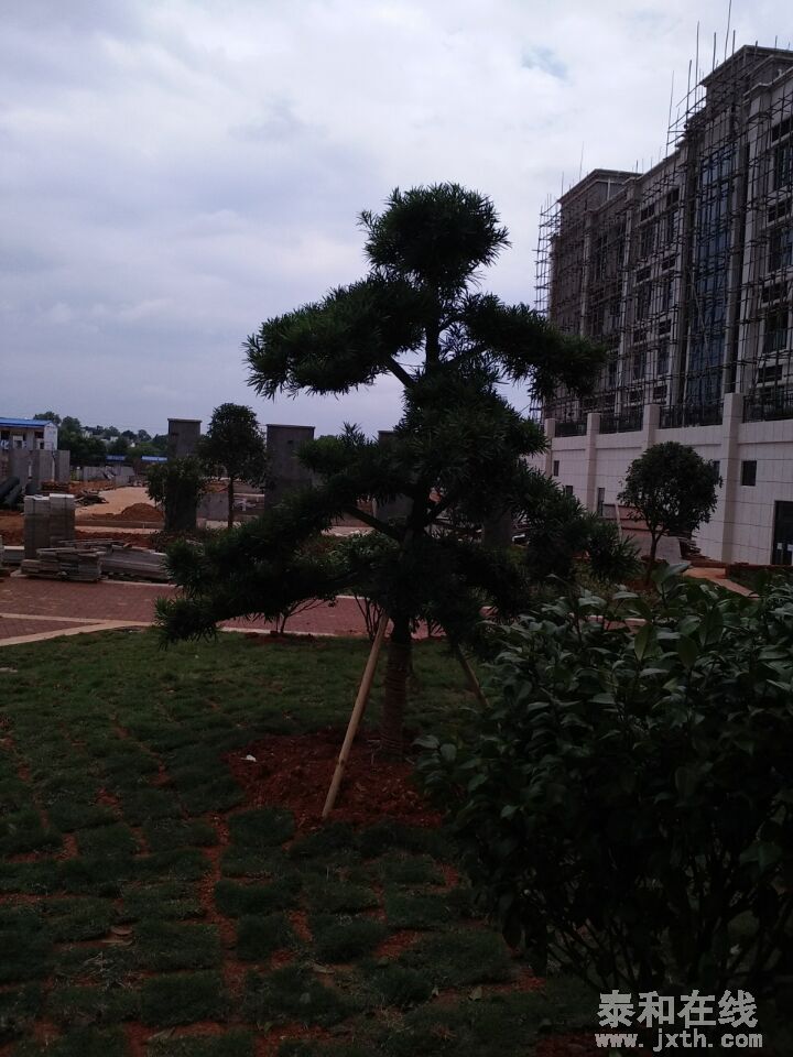 QQͼƬ20150611095139.jpg