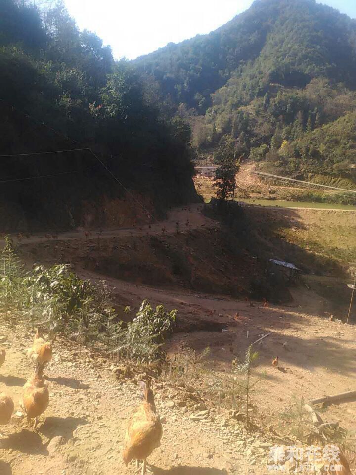 QQͼƬ20151217145336.jpg