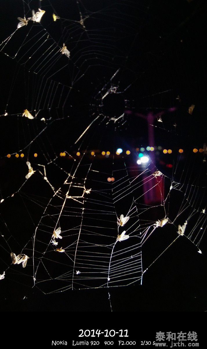 AwesomeCamera2014_10_11_20_26_45_jpg.jpg