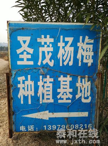 IMG_20160304_165758.jpg