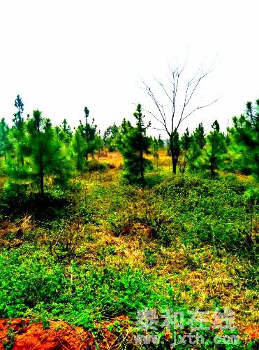 IMG_20160306_142143_HDR_1457248588809.jpg