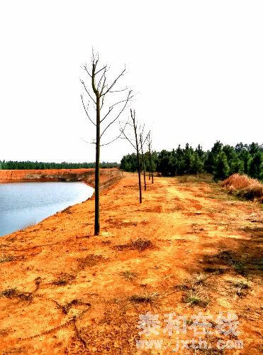 IMG_20160306_142024_HDR_1457248619954.jpg
