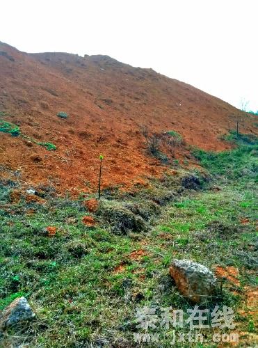 IMG_20160306_142718_HDR_1457248509537.jpg