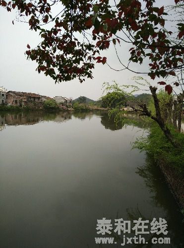 IMG_20160308_121818.jpg