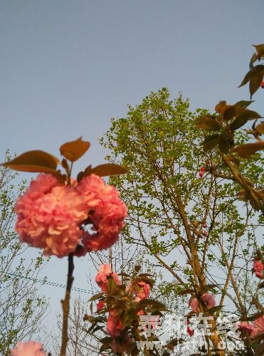 IMG_20160319_173159.jpg
