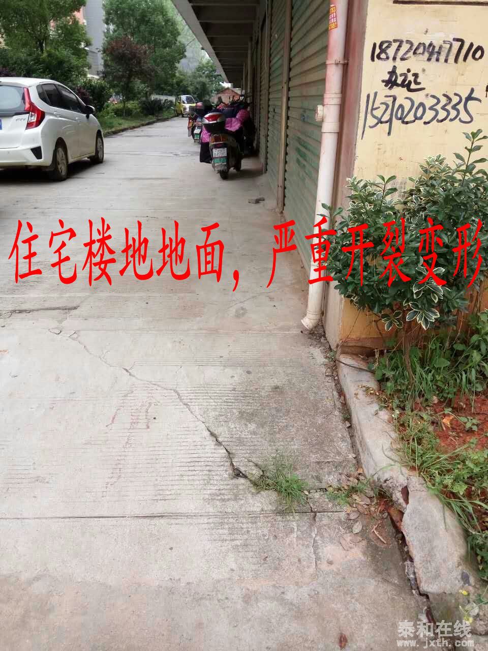 mmexport1460446261095_conew1.jpg