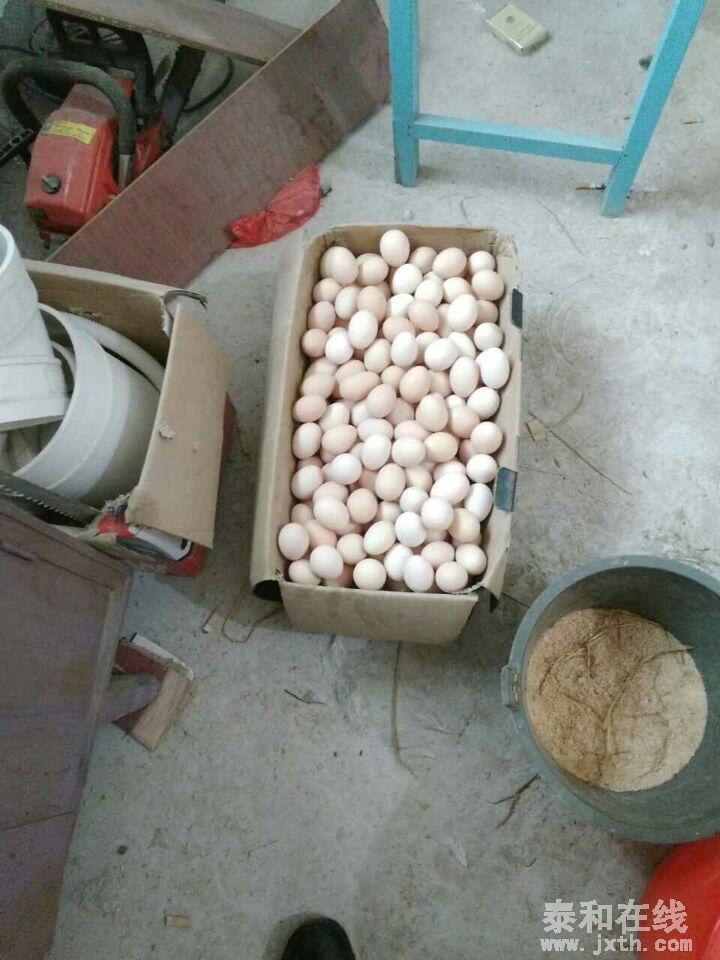 QQͼƬ20160425091535.jpg