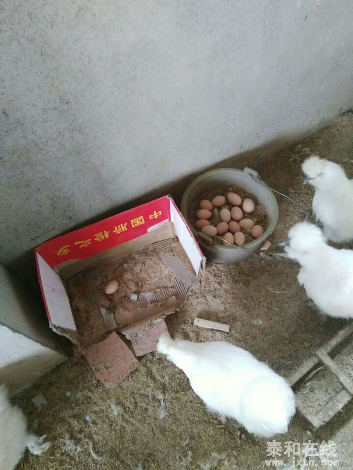 QQͼƬ20160425091543.jpg