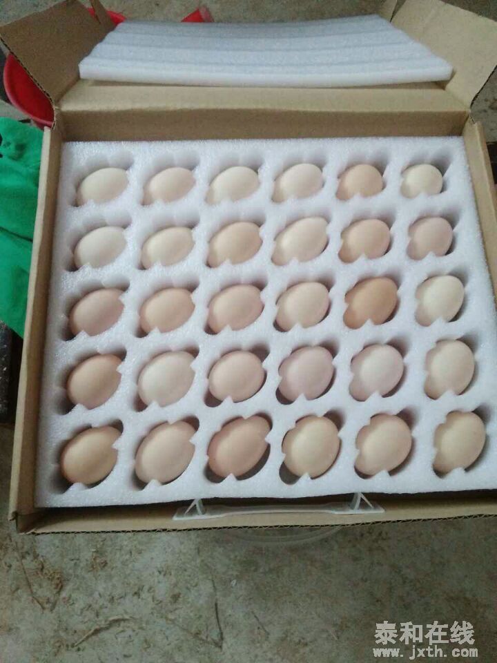 QQͼƬ20160425091550.jpg
