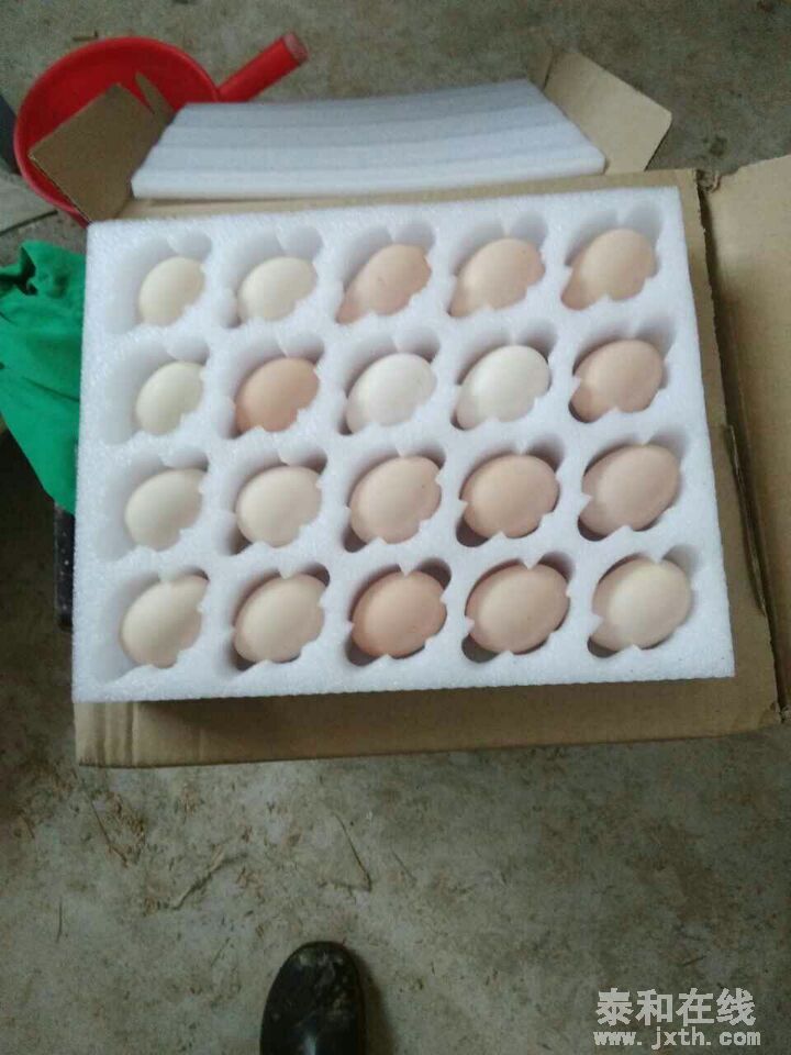QQͼƬ20160425091602.jpg