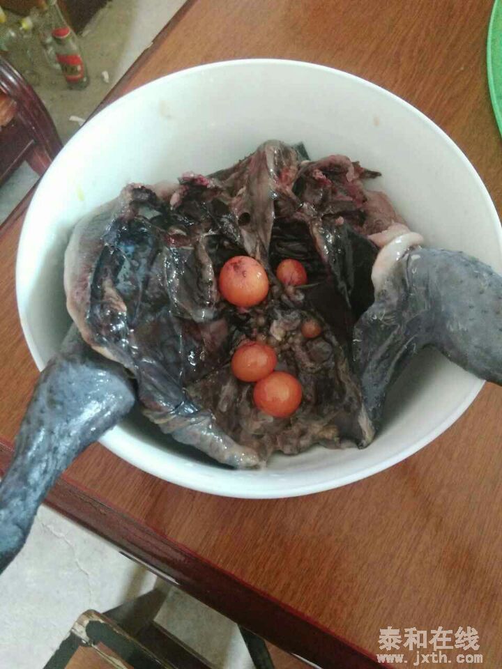QQͼƬ20160425091559.jpg