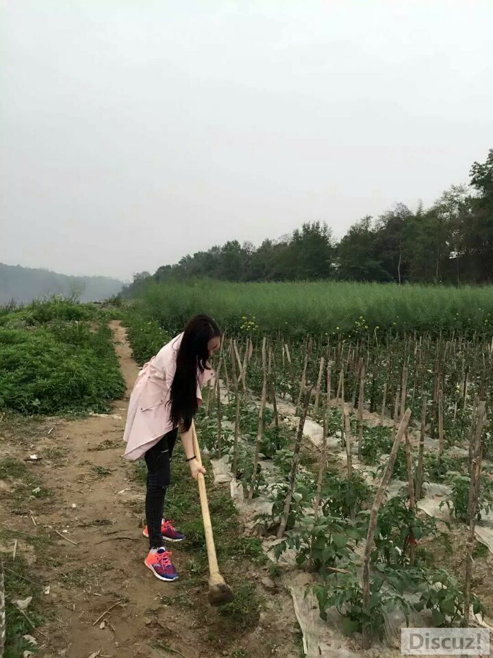 QQͼƬ20160513190645.jpg