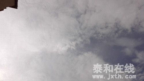 IMG_20160701_170345.jpg