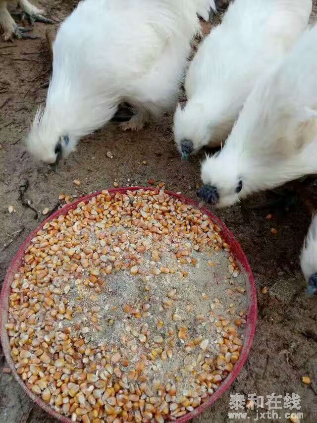QQͼƬ20161225230041.jpg