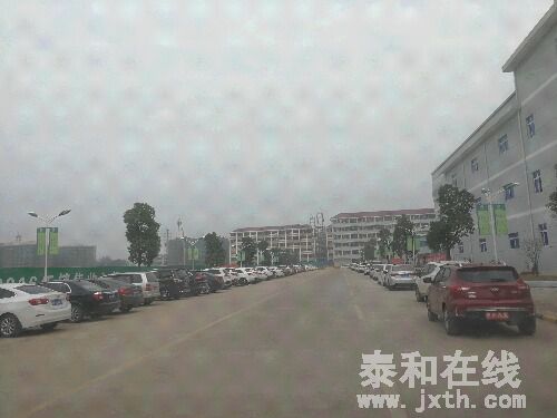 IMG_20170104_094135.jpg
