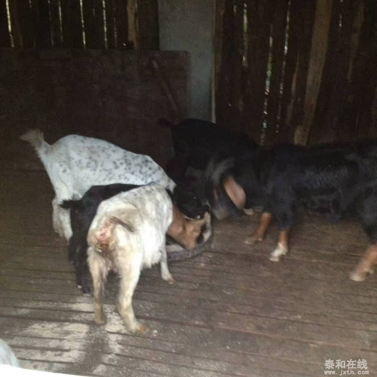 QQͼƬ20160204223610.jpg