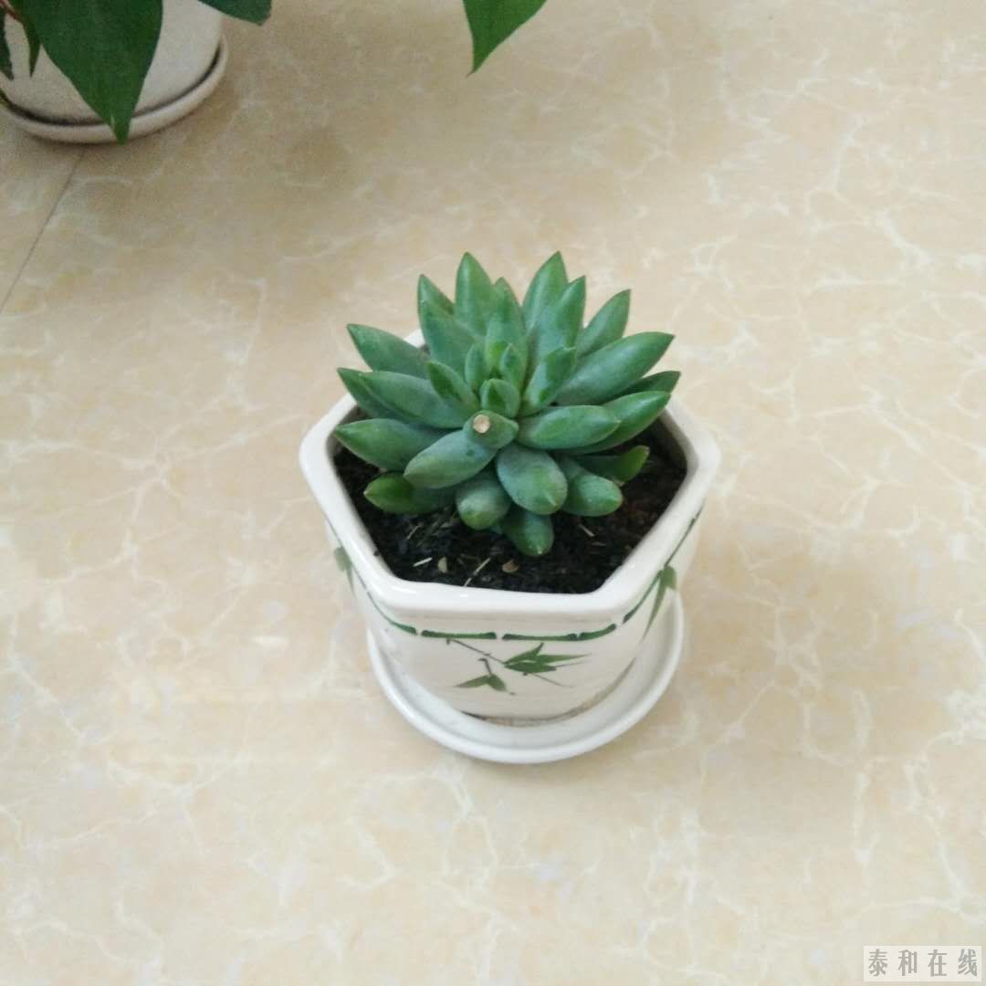 ΢ͼƬ_20190511175811.jpg