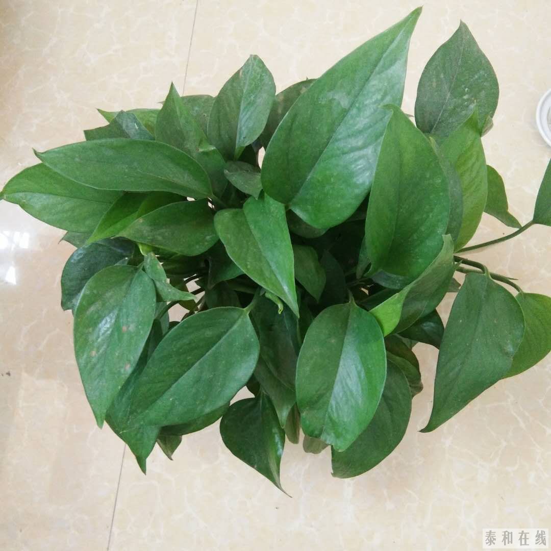 ΢ͼƬ_20190511175758.jpg