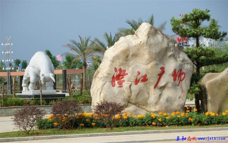 15.jpg
