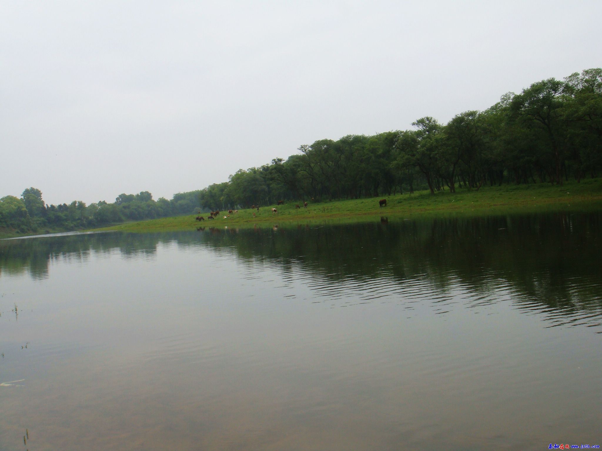 DSC00290.JPG