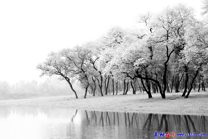 2009311205835270.jpg