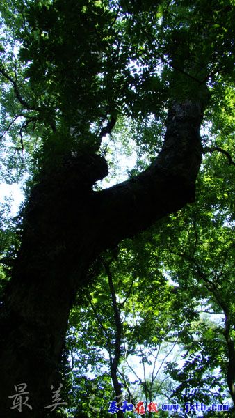 DSC02452.jpg
