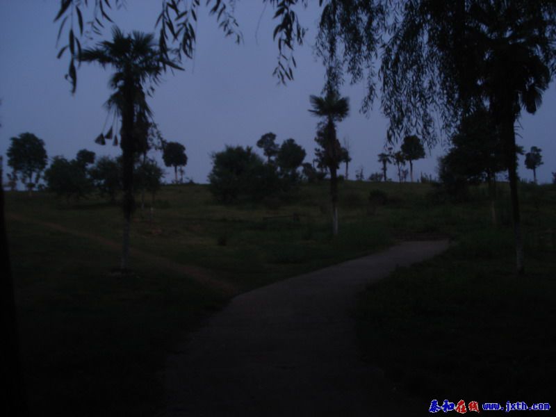 DSC00676.jpg