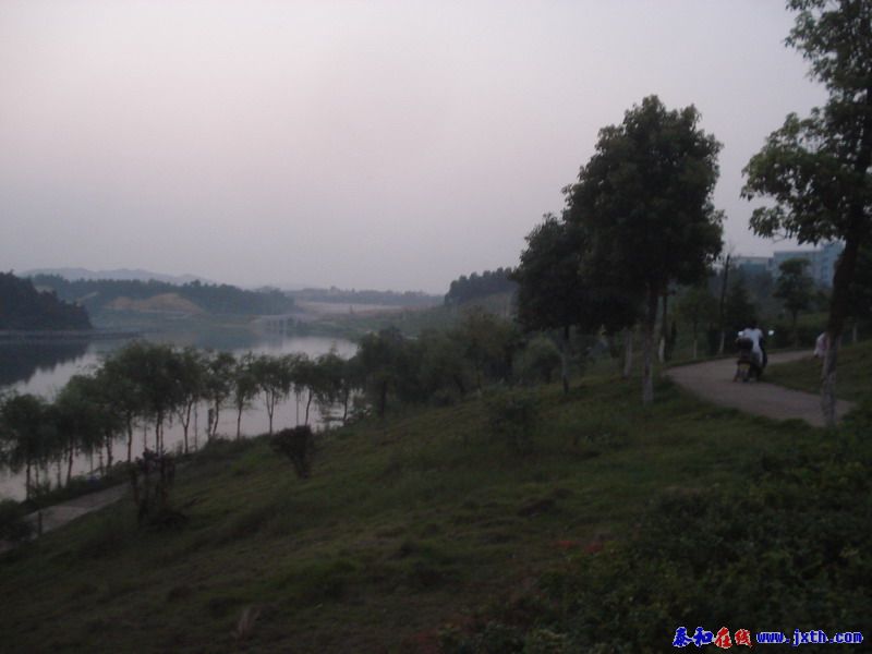 DSC00645.jpg