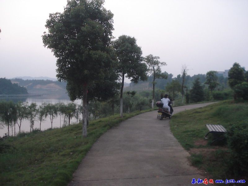 DSC00646.jpg