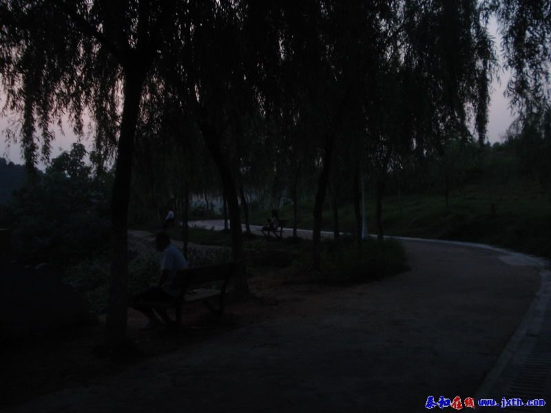 DSC00675.jpg