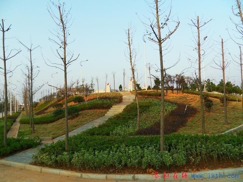 03.jpg