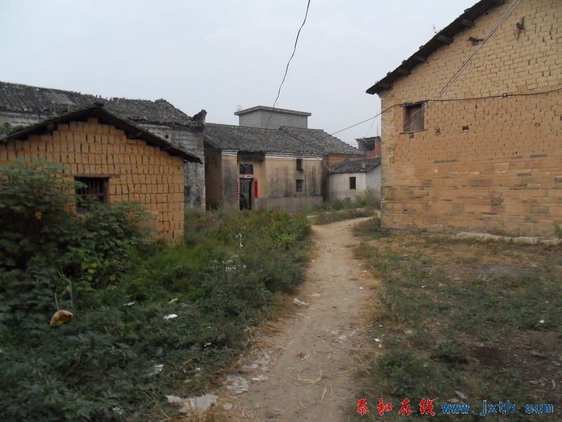 SDC10042.jpg
