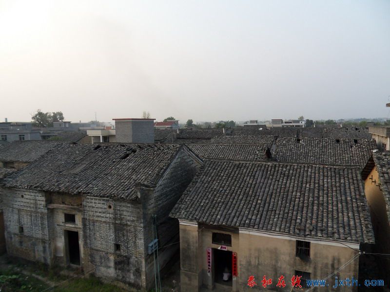 SDC10017.jpg