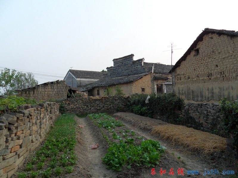 SDC10032.jpg