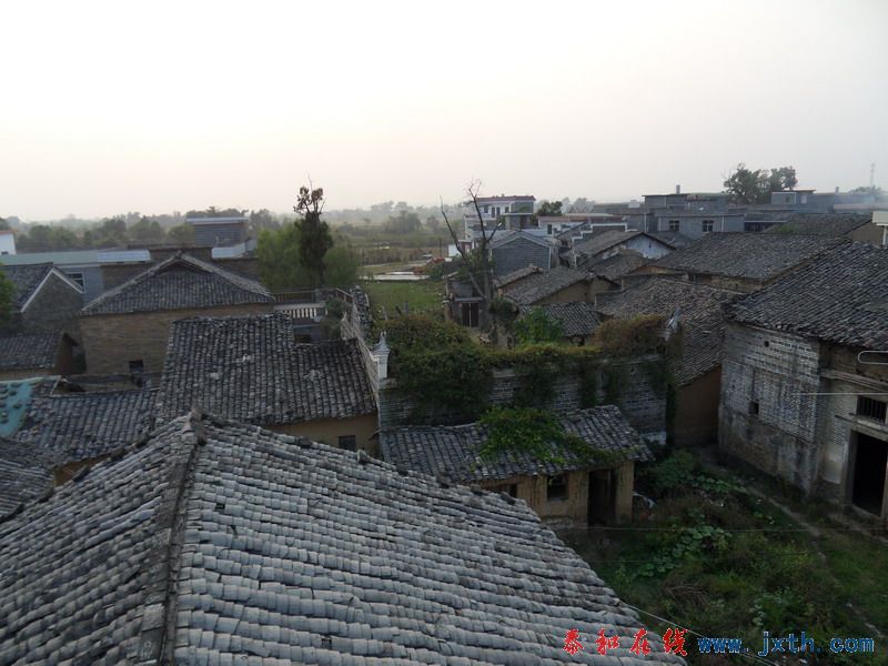 SDC10018.jpg