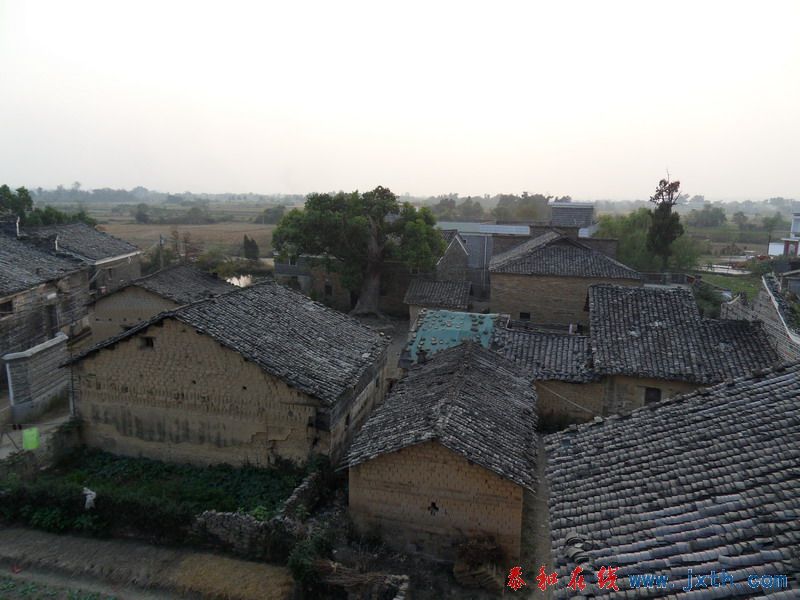 SDC10016.jpg