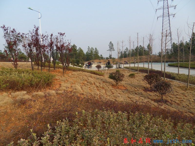 SDC11230.jpg
